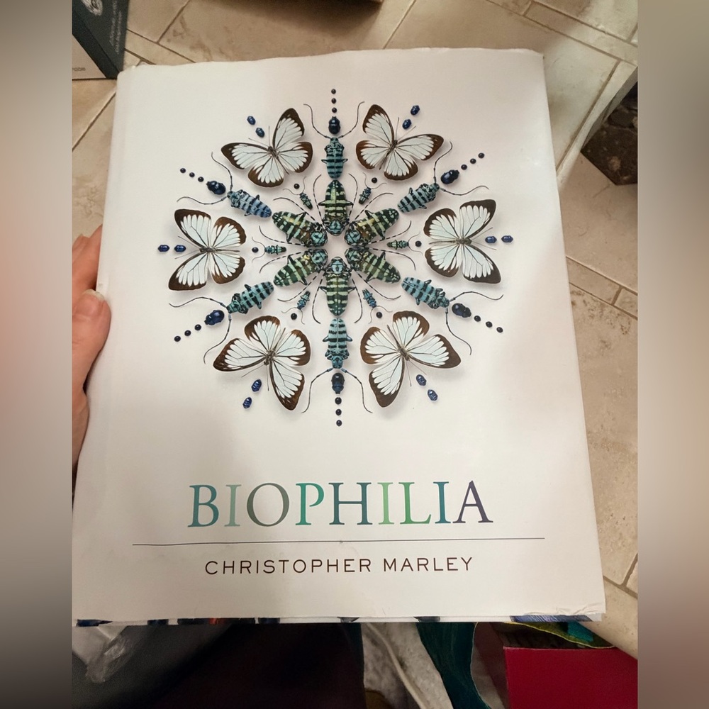 Biophilia art photography by Christopher Marley stunning - Picture 3 of 10